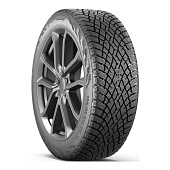 205/55 R17 Ikon Tyres Ikon Autograph Snow 5 95T 