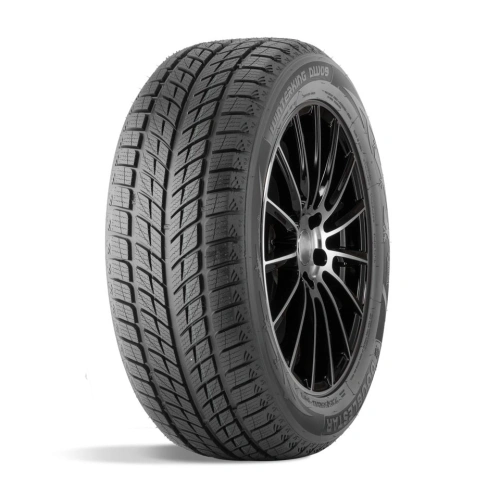 275/45 R20 DOUBLESTAR DW09 110H 
