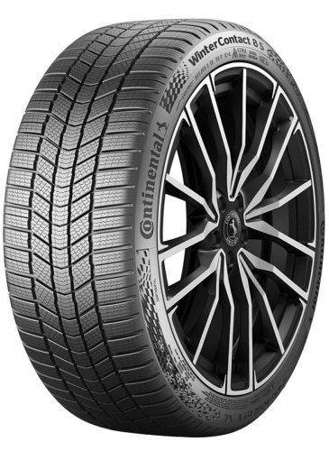 7ourxbuscbq5xp31duoir1cmjh5ckd1n