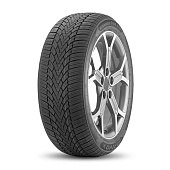 225/55 R19 Arivo Winmaster ProX ARW3 99H
