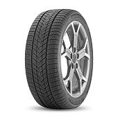 275/40 R19XL Arivo Winmaster ProX ARW5 105V